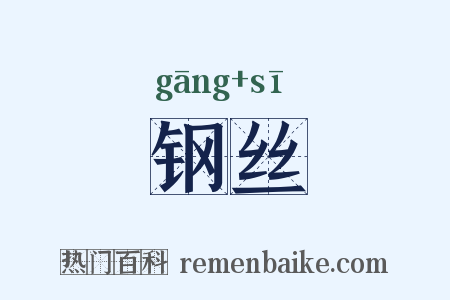 钢丝是什么意思的图片